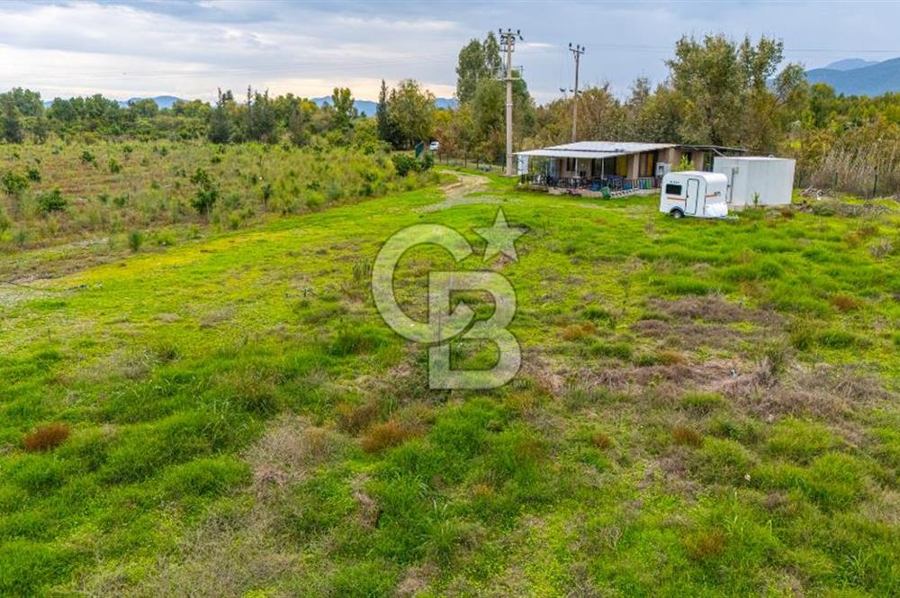 KÖYCEĞİZ TOPARLAR'DA MÜSTAKİL TAPULU 40 DÖNÜM TARLA