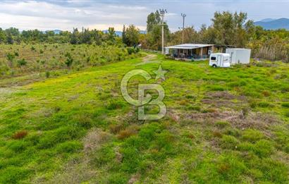 KÖYCEĞİZ TOPARLAR'DA MÜSTAKİL TAPULU 40 DÖNÜM TARLA