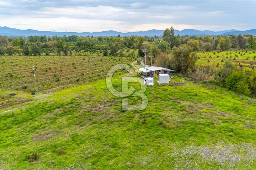 KÖYCEĞİZ TOPARLAR'DA MÜSTAKİL TAPULU 40 DÖNÜM TARLA