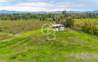 KÖYCEĞİZ TOPARLAR'DA MÜSTAKİL TAPULU 40 DÖNÜM TARLA