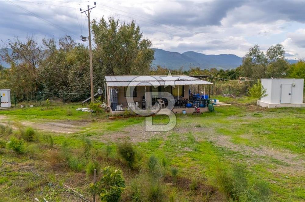 KÖYCEĞİZ TOPARLAR'DA MÜSTAKİL TAPULU 40 DÖNÜM TARLA