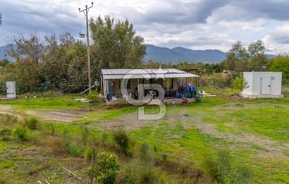 KÖYCEĞİZ TOPARLAR'DA MÜSTAKİL TAPULU 40 DÖNÜM TARLA