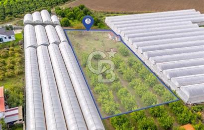 MUĞLA ORTACA İZTUZU DENİZİ YOLUNDA 2 DÖNÜM ARSA