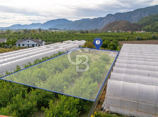 MUĞLA ORTACA İZTUZU DENİZİ YOLUNDA 2 DÖNÜM ARSA