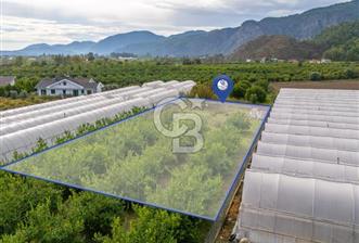 MUĞLA ORTACA İZTUZU DENİZİ YOLUNDA 2 DÖNÜM ARSA - 1 - 313195