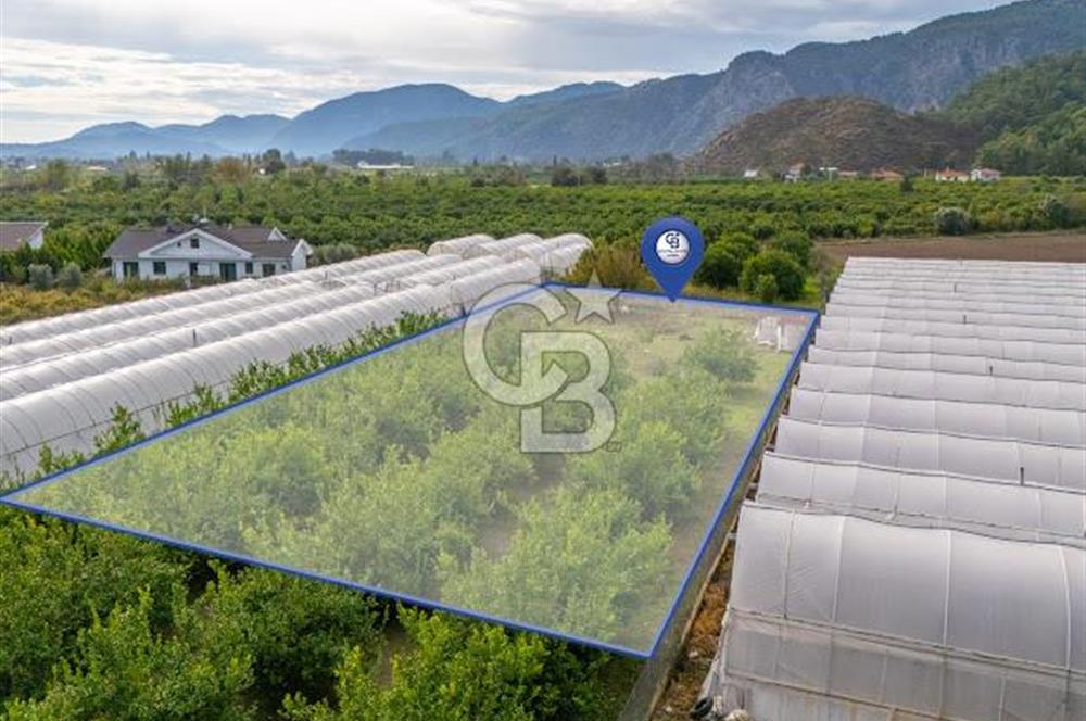 MUĞLA ORTACA İZTUZU DENİZİ YOLUNDA 2 DÖNÜM ARSA