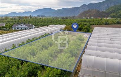 MUĞLA ORTACA İZTUZU DENİZİ YOLUNDA 2 DÖNÜM ARSA