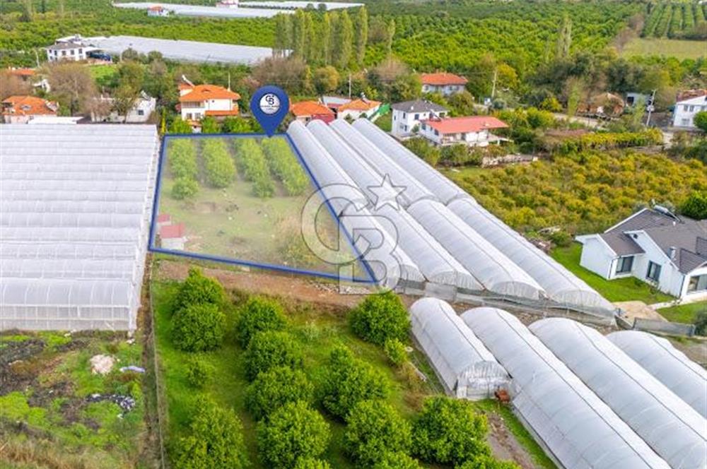 MUĞLA ORTACA İZTUZU DENİZİ YOLUNDA 2 DÖNÜM ARSA