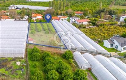 MUĞLA ORTACA İZTUZU DENİZİ YOLUNDA 2 DÖNÜM ARSA