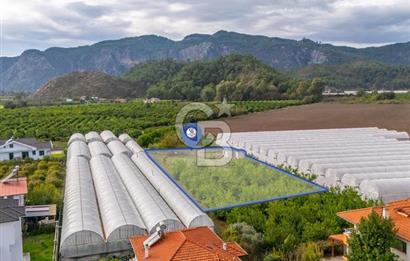 MUĞLA ORTACA İZTUZU DENİZİ YOLUNDA 2 DÖNÜM ARSA