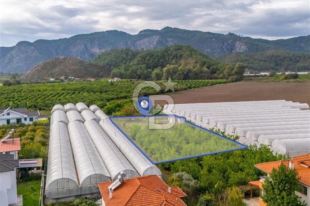 MUĞLA ORTACA İZTUZU DENİZİ YOLUNDA 2 DÖNÜM ARSA