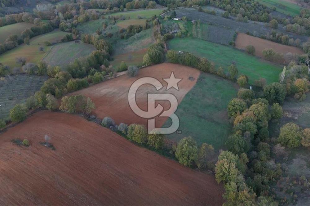 ÇANAKKALE ÇAN DANAPINAR KÖYÜNDE 26.400 M2 SATILIK ARAZİ 