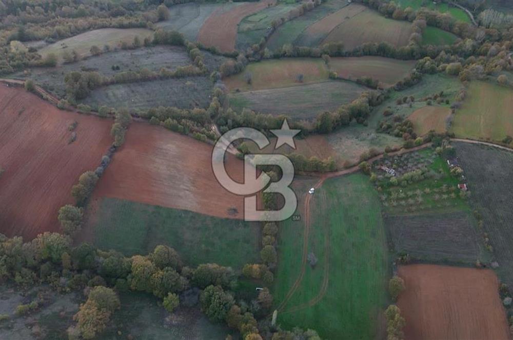 ÇANAKKALE ÇAN DANAPINAR KÖYÜNDE 26.400 M2 SATILIK ARAZİ 