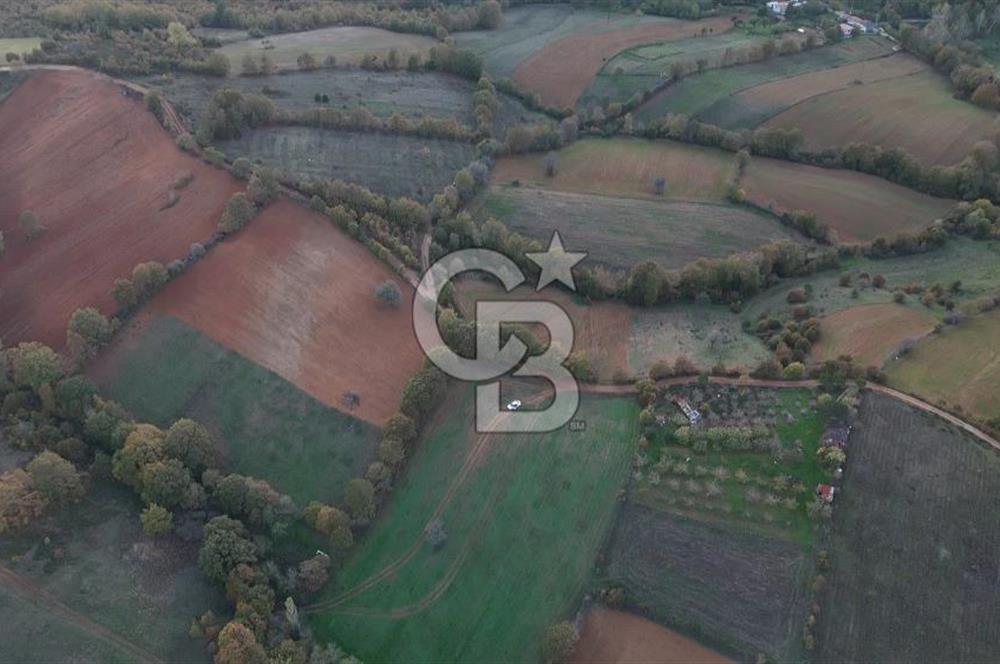 ÇANAKKALE ÇAN DANAPINAR KÖYÜNDE 26.400 M2 SATILIK ARAZİ 