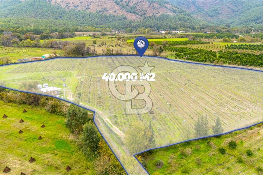 KÖYCEĞİZ TOPARLAR'DA MÜSTAKİL TAPULU 40 DÖNÜM TARLA
