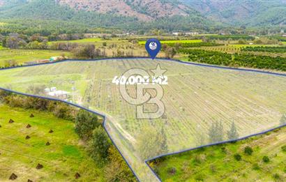 KÖYCEĞİZ TOPARLAR'DA MÜSTAKİL TAPULU 40 DÖNÜM TARLA