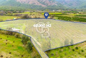 KÖYCEĞİZ TOPARLAR'DA MÜSTAKİL TAPULU 40 DÖNÜM TARLA - 1 - 313144