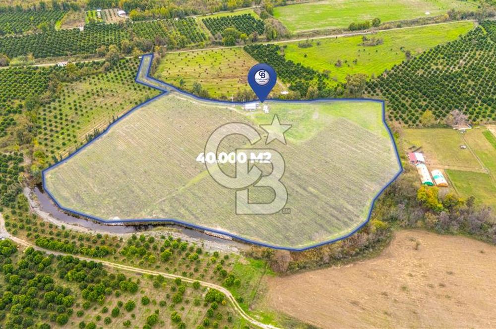 KÖYCEĞİZ TOPARLAR'DA MÜSTAKİL TAPULU 40 DÖNÜM TARLA