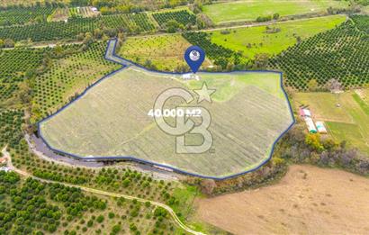 KÖYCEĞİZ TOPARLAR'DA MÜSTAKİL TAPULU 40 DÖNÜM TARLA