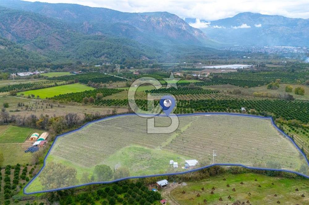 KÖYCEĞİZ TOPARLAR'DA MÜSTAKİL TAPULU 40 DÖNÜM TARLA