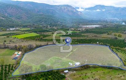 KÖYCEĞİZ TOPARLAR'DA MÜSTAKİL TAPULU 40 DÖNÜM TARLA