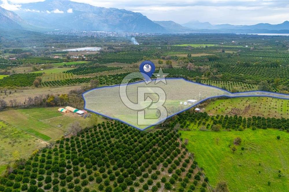 KÖYCEĞİZ TOPARLAR'DA MÜSTAKİL TAPULU 40 DÖNÜM TARLA