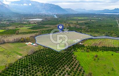 KÖYCEĞİZ TOPARLAR'DA MÜSTAKİL TAPULU 40 DÖNÜM TARLA