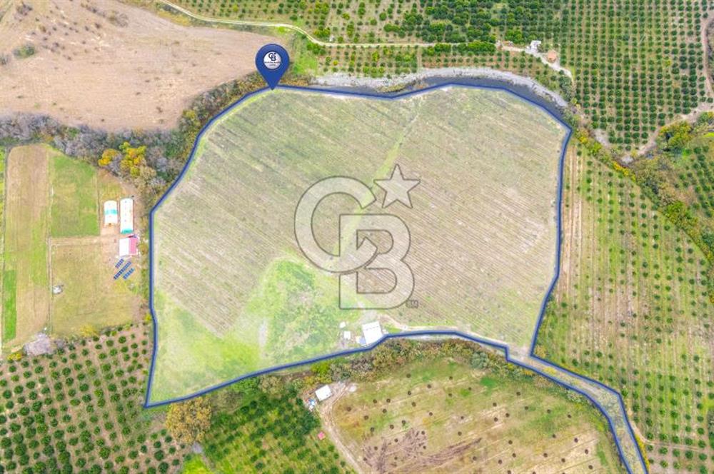 KÖYCEĞİZ TOPARLAR'DA MÜSTAKİL TAPULU 40 DÖNÜM TARLA