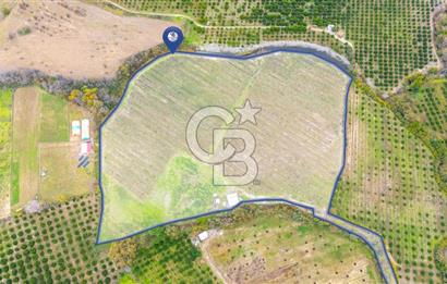 KÖYCEĞİZ TOPARLAR'DA MÜSTAKİL TAPULU 40 DÖNÜM TARLA