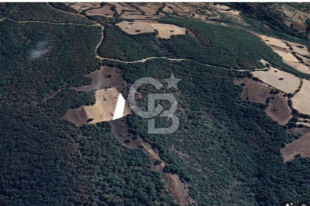 Balıkesir Kepsut Örenli Mevkiinde Yatırım Değeri Yüksek Arsa