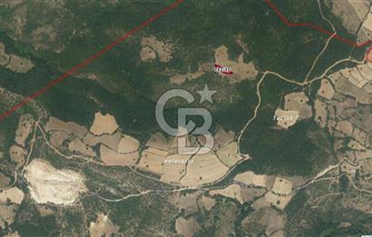 Balıkesir Kepsut Örenli Mevkiinde Yatırım Değeri Yüksek Arsa