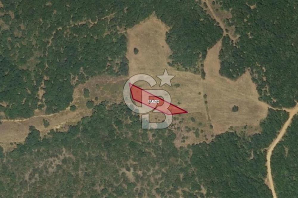 Balıkesir Kepsut Örenli Mevkiinde Yatırım Değeri Yüksek Arsa