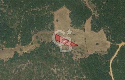Balıkesir Kepsut Örenli Mevkiinde Yatırım Değeri Yüksek Arsa