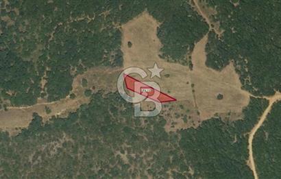 Balıkesir Kepsut Örenli Mevkiinde Yatırım Değeri Yüksek Arsa