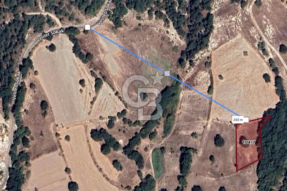 CB EAGLE'DAN BALIKESİR DURSUNBEY VELİLER KÖYÜNDE TARLA 1852M2