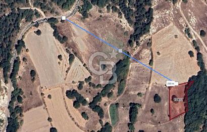 CB EAGLE'DAN BALIKESİR DURSUNBEY VELİLER KÖYÜNDE TARLA 1852M2