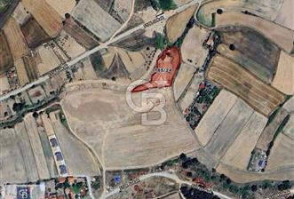 SARAY KÜÇÜKYONCALI YERLEŞİME YAKIN 307 M2 TARLA - 7 - 313209