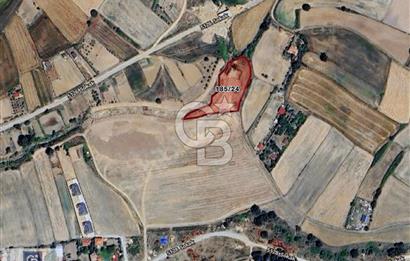 SARAY KÜÇÜKYONCALI YERLEŞİME YAKIN 307 M2 TARLA