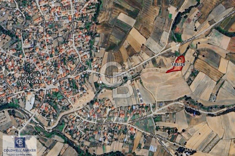 SARAY KÜÇÜKYONCALI YERLEŞİME YAKIN 307 M2 TARLA