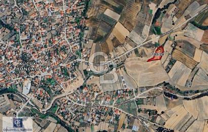 SARAY KÜÇÜKYONCALI YERLEŞİME YAKIN 307 M2 TARLA