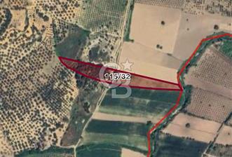 Balıkesir Ayvalık’ta 12.606m2 Satılık Tarla - 8 - 313216