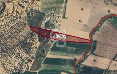 Balıkesir Ayvalık’ta 12.606m2 Satılık Tarla