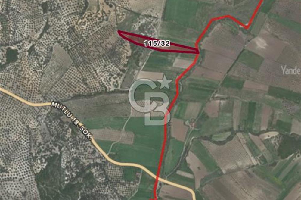 Balıkesir Ayvalık’ta 12.606m2 Satılık Tarla