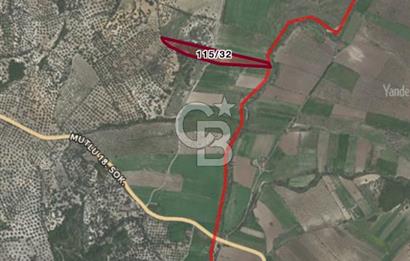 Balıkesir Ayvalık’ta 12.606m2 Satılık Tarla