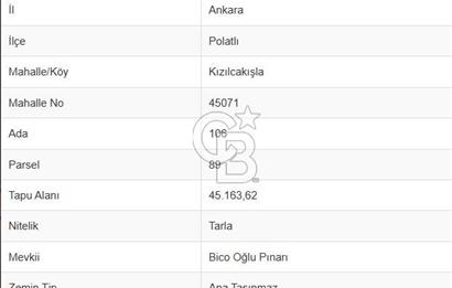 ANKARA POLATLI KIZILCAKIŞLA KÖYÜ SATILIK TARLA