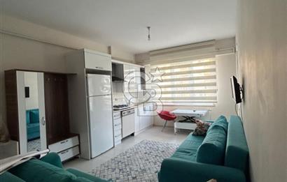 Durugöl Soya minimal sitesinde 2+1 daire