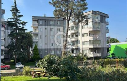 Durugöl Soya minimal sitesinde 2+1 daire