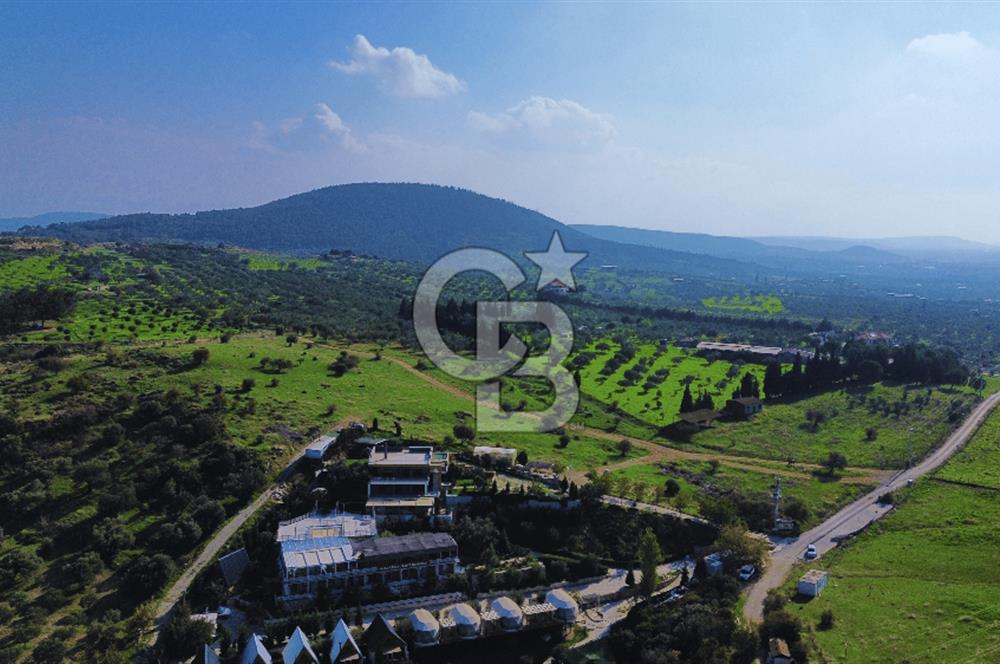 Foça Yeniköy'de Satılık Deniz Manzaralı Tarla