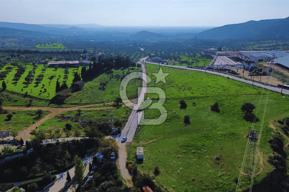 Foça Yeniköy'de Satılık Deniz Manzaralı Tarla