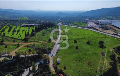 Foça Yeniköy'de Satılık Deniz Manzaralı Tarla